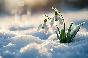 Reset and Renew New Year Retreat 6th-10th January 2027